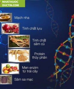 thanh phan keo sam xtreme