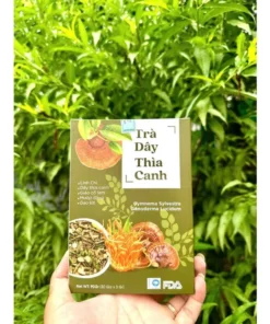 Alternative view of Trà Dây Thìa Canh, Dây Thìa Canh Tiểu Đường, Thanh Nhiệt, Giải Khát, Làm Mát Cơ Thể, Thư Giãn, giảm căng thẳng