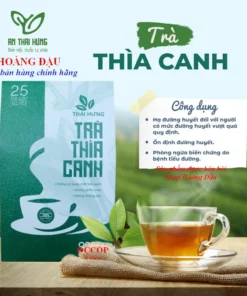 Trà thìa canh Thái Hưng cho người tiểu đường, ổn định đường huyết, giảm mỡ máu (hộp 25 túi lọc 5g)