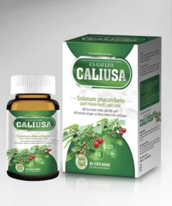 Cà Gai Leo Caliusa Hộp 60 Viên 9 caliuss1