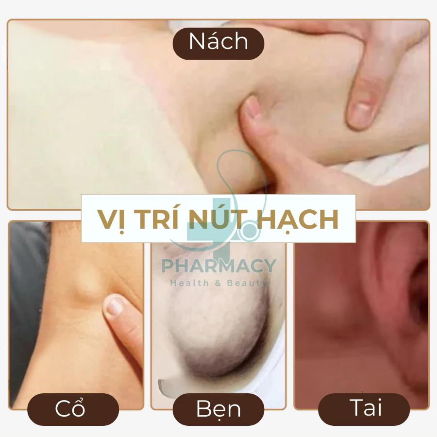 Kem Bôi Tan Hạch Bạch Huyết Cổ Truyền Nhật Bản , Tan Biến U Hạch, Giảm Đau Sưng Hạch Nhập Khẩu Chính Hãng 13 chiu4