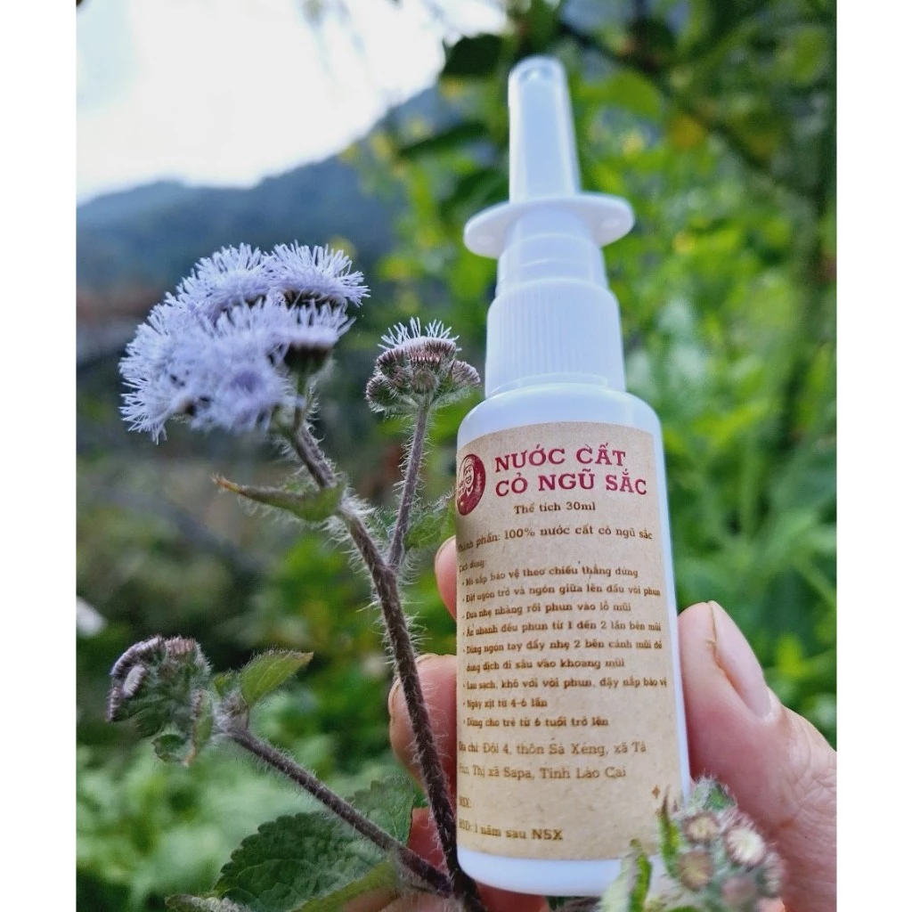 Xịt Mũi Cỏ Ngũ Sắc (cỏ hôi, cứt lợn) 30ml - Xoang, Mũi dị ứng, ngạt 2 cutlon1
