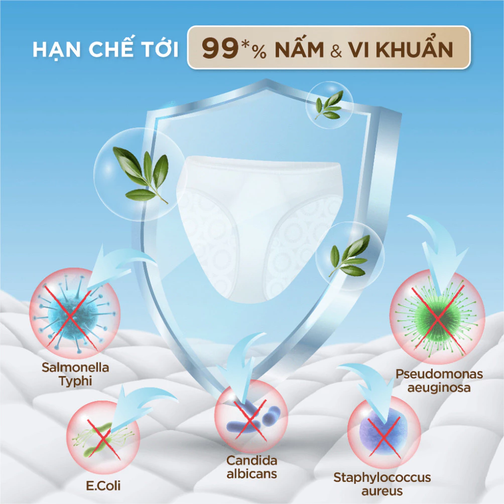 Nước giặt đồ lót chuyên dụng Sollina 400ML Giúp khử mùi, kháng khuẩn, An toàn cho da nhạy cảm 18 dolot2