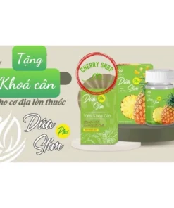 DỨA SLIM PLUS tặng khoá cân siêu giảm cân mạnh 8 duaslim3