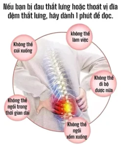 Gel Làm Mát Cột Sống Thắt Lưng,Thoát Vị Đĩa Đệm APDMP 20g - Giảm Đau Lưng, Mỏi Cột Sống, Viêm khớp 16 gelnah8