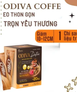 Cà phê giảm cân nguyên chất Odiva Nâm Linh Chi Coffe giảm cân, giảm mỡ, siết eo cấp tốc Hộp 15 gói