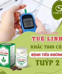 Alternative view of Giảo cổ lam Tuệ Linh [Chính hãng] - Hỗ trợ ổn định đường huyết & huyết áp, hạ mỡ máu - Hộp 60v/100v