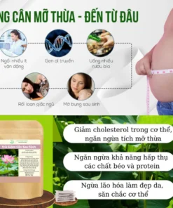 Alternative view of Trà Giảm Cân Sau Sinh , ích sữa, xổ mỡ, thải độc dưỡng da giúp săn chắc vòng eo, trà giảm cân , giảm cân k tác dụng phụ