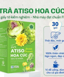 Trà Atiso Hoa Cúc mát gan thanh nhiệt giải độc cơ thể, ngủ ngon, ngăn ngừa lão hóa, tiểu đường - Hộp 30 gói