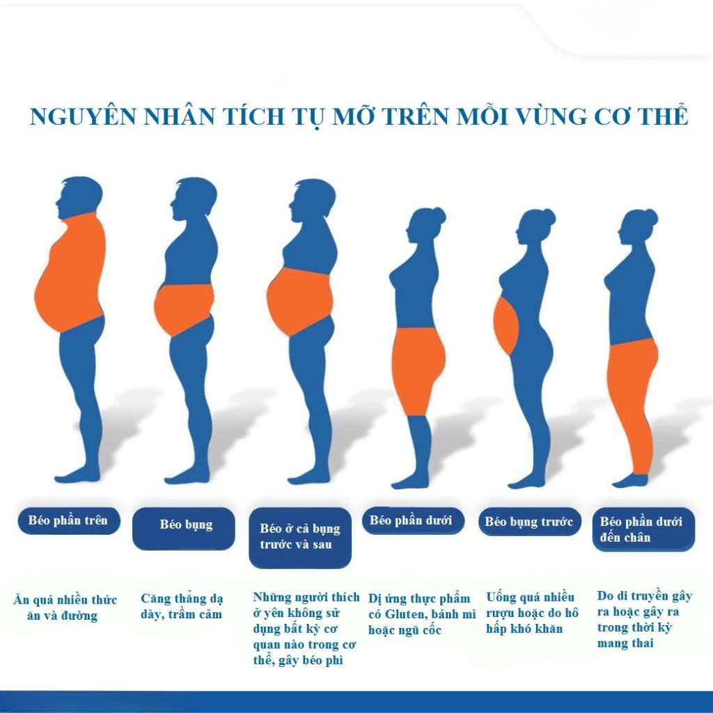 Viên Detox Thải Mỡ Giảm Cân - Minh Nguyên Đường - Thải Mỡ Bụng, Mỡ Thành Mạch, Mỡ Nội Tạng, Đốt Mỡ 22 hoandong99