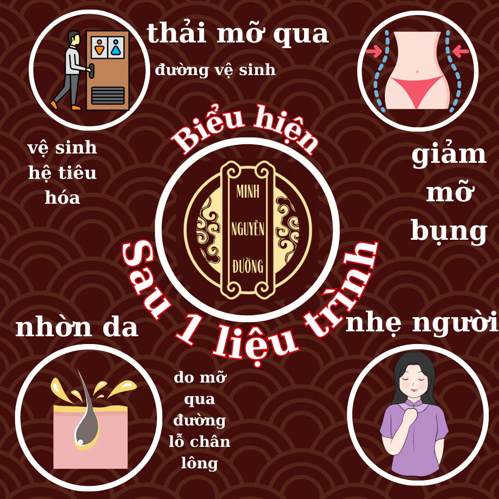 Viên Detox Thải Mỡ Giảm Cân - Minh Nguyên Đường - Thải Mỡ Bụng, Mỡ Thành Mạch, Mỡ Nội Tạng, Đốt Mỡ 19 hoanong6