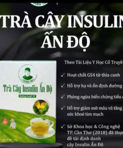 Alternative view of CHÍNH HÃNG TRÀ CÂY INSULIN ẤN ĐỘ
