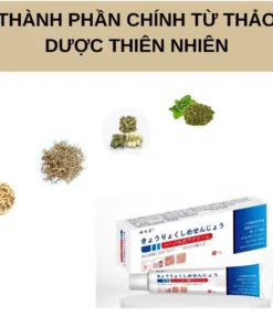 Kem Bôi Da Nhật Bản Chính Hãng – Dứt Điểm Nấm Ngứa, Hắc Lào, Nước Ăn Chân, Tổ Đỉa 14 kemnhat4