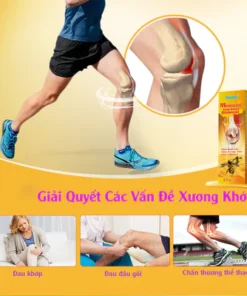Kem Nọc Ong bôi xương khớp, giảm đau lưng mỏi vai gáy 16 nocng6