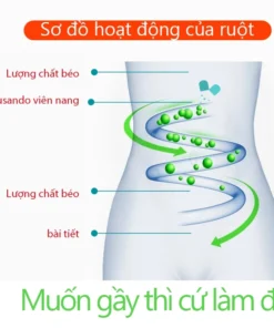 SAUSANDO Tinh Chất Giảm Cân Từ Thiên Nhiên Hỗ Trợ Thải Độc Duy Trì Cân Nặng Khỏe Mạnh Tăng Cường Tiêu Hóa An Toàn 11 sado5