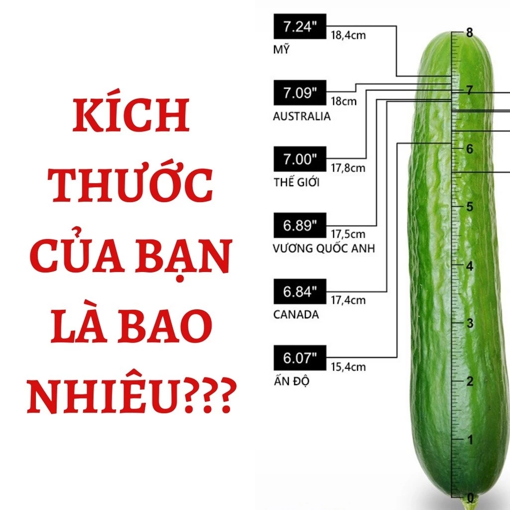 Tinh Chất ENLARGE OIL Kéo Dài Tăng Kích Thước Cậu Bé Chiều Dài Lẫn Đường Kính AN TOÀN HIỆU QUẢ-ZOOTI 22 tangchim4
