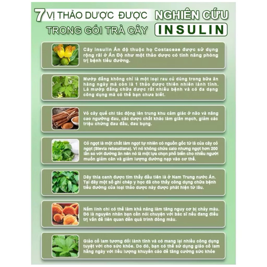 1 HỘP Trà cây Insulin Ấn Độ THIỀU TÀI Trà thảo mộc nước trà tốt cho đường huyết 1 hộp/30 túi lọc 12 tracy5