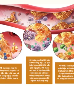 Alternative view of Trà Giảm Mỡ Máu Bội Lan Đường, Máu Nhiễm Mỡ,Mỡ Thành Mạch, Giảm Cân, Ngừa Tai Biến, Ổn Định Huyết Áp