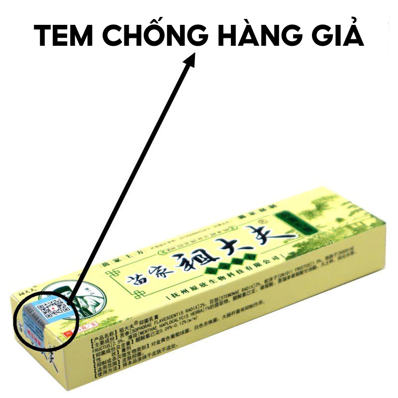Kem Bôi Nấm Ngứa ZUDAIFU Hỗ Trợ Dứt Điểm Hắc Lào, Ghẻ Nước, Nấm Da Đầu, Vảy Nến Cực Kì Hiệu Quả 18 viemda2