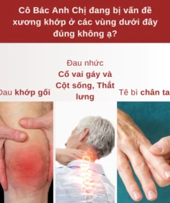 xuongkhop8 1