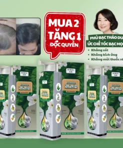 Dầu gội phủ bạc beirou dầu gội nhuộm tóc đen phủ bạc thảo dược hàn quốc an toàn cho da đầu