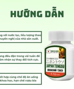 japan tengsing 9 grande