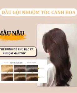 Dầu gội phủ bạc Plant Extract - Petal Hair Color - Nhuộm thảo dược bền màu lâu phai, an toàn không dị ứng 19 phubac9