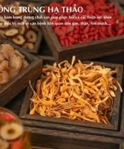 Alternative view of Trà Bổ Thận Tráng Dương Đông Trùng Hạ Thảo Sâm Cau Mộc Trà Organic Hỗ Trợ Sinh Lý Nam, Sung Mãn Cải Thiện Xuất Tinh Sớm