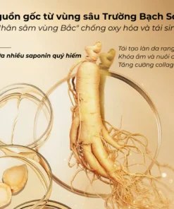 Kem Nám Tàn Nhang Nhân Sâm CNXUER Hộp 60g Kem Mờ Thâm Nám Tàn Nhang Dưỡng Ẩm Sáng Da Ngừa Lão Hóa 13 kemnam4