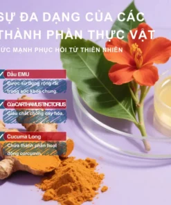 Gel Massage Đau Xương Khớp SOUTH MOON Pain Relief – Kem Xoa Bóp Chondroitin SOUTH MOON Giảm Đau Xương Khớp Hiệu Quả 10 south3