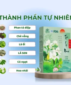 Trà Lá Nam Thiên An Hộp 30 Túi Lọc Hỗ Trợ Giảm Cân, Giảm Mỡ, Mát Gan, Tốt Cho Tiêu Hóa Chống Lão Hóa 10 lanm3