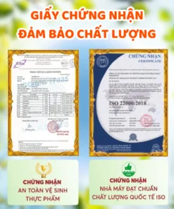 Trà Lá Ổi Green Tea Hộp 60 Túi Lọc Hỗ Trợ Giảm Cân, Trà Búp Ổi Giảm Đường Huyết, Cải Thiện Tiêu Hóa 12 laoi4