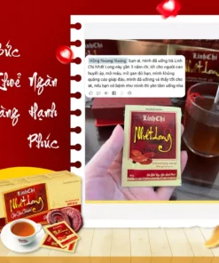 Trà Thảo Dược Linh Chi Nhất Long - Hỗ Trợ Ổn Định Huyết Áp, Giảm Tiểu Đường, Men Gan Cao, Mỡ Máu, Ngủ Ngon