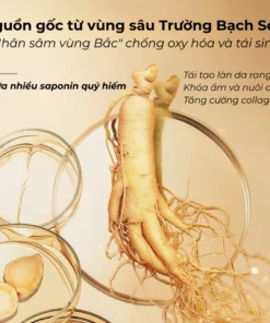 Alternative view of Kem Dưỡng Da Chống Lão Hóa Chiết Xuất Nhân Sâm Ogulia - Chăm Sóc Da Chuyên Sâu, Mờ Thâm Nám, Xóa Nhăn