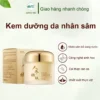 Kem Dưỡng Da Chống Lão Hóa Chiết Xuất Nhân Sâm Ogulia - Chăm Sóc Da Chuyên Sâu, Mờ Thâm Nám, Xóa Nhăn