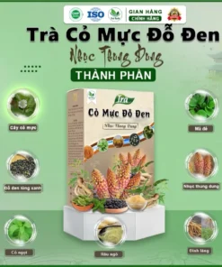 Trà cỏ mực đỗ đen nhục thung dung trà thảo mộc thanh nhiệt cơ thể