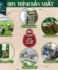 Trà Phục Dương Ba Kích Ngọc Cẩu - Làng Mai - 7 Vị thảo dược, Hộp 30 túi lọc 10 bakich2