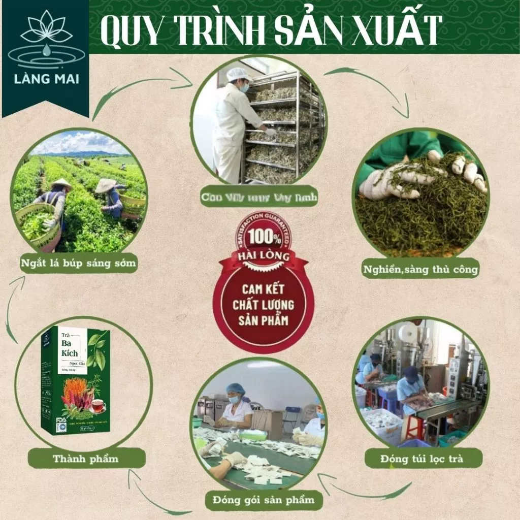Trà Phục Dương Ba Kích Ngọc Cẩu - Làng Mai - 7 Vị thảo dược, Hộp 30 túi lọc 2 Trà Phục Dương Ba Kích Ngọc Cẩu - Làng Mai - 7 Vị thảo dược, Hộp 30 túi lọc - Ảnh 3