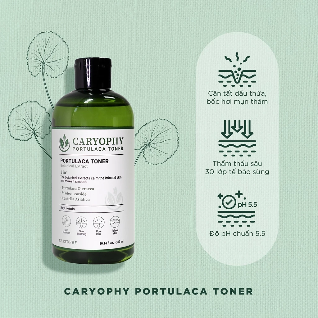 Nước cân bằng Caryophy 300ml (Caryophy Portulaca Toner 300ml) 4 Nước cân bằng Caryophy 300ml (Caryophy Portulaca Toner 300ml) - Ảnh 4