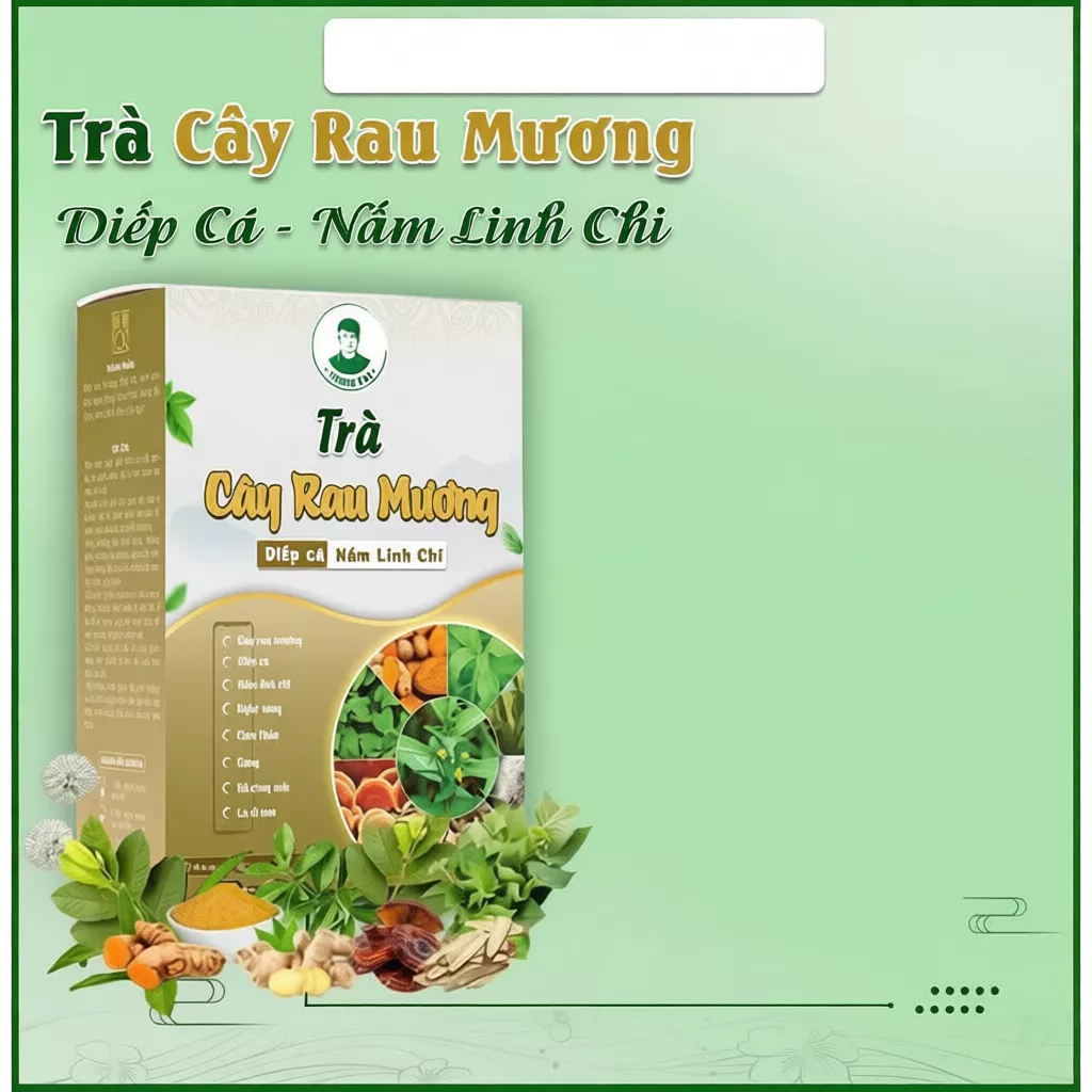 TRÀ CÂY RAU MƯƠNG CHÍNH HÃNG 1 HỘP 25 cayraumuong1