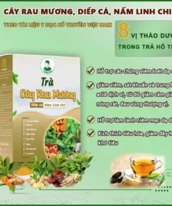 TRÀ CÂY RAU MƯƠNG CHÍNH HÃNG 1 HỘP 11 cayraumuong2