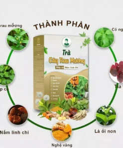 TRÀ CÂY RAU MƯƠNG CHÍNH HÃNG 1 HỘP 12 cayraumuong3