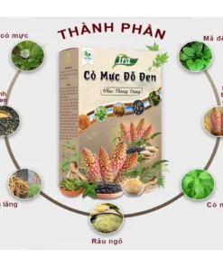 TRÀ CỎ MỰC ĐẬU ĐEN NHỤC THUNG DUNG
