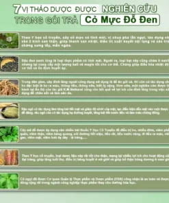 Trà cỏ mực đỗ đen nhục thung dung cải thiện chức năng thận, giảm tiểu bọt, tiểu đêm 11 comuc3