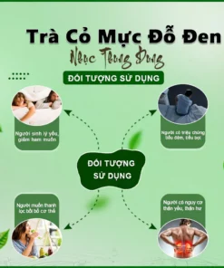 Trà cỏ mực đỗ đen nhục thung dung cải thiện chức năng thận, giảm tiểu bọt, tiểu đêm 12 comuc4