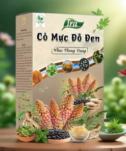 Trà cỏ mực đỗ đen nhục thung dung cải thiện chức năng thận, giảm tiểu bọt, tiểu đêm 14 comuc6 1