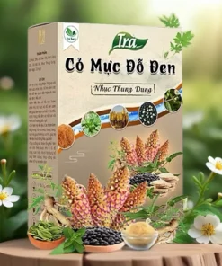 Trà cỏ mực đỗ đen nhục thung dung cải thiện chức năng thận, giảm tiểu bọt, tiểu đêm 15 comuc7