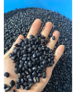 Đậu Đen Xanh Lòng Rang Mộc - Cỏ Ngọt - Hà Thủ Ô MỘC THANH TRÀ - Trà giải nhiệt, thanh lọc cơ thể, chăm sóc giấc ngủ ngon 21 dauen10