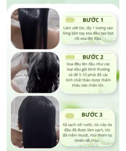 Dầu gội kích mọc tóc Gừng - Dầu gội Jucong Elbon MỘC CỬU ngăn ngừa rụng tóc, giảm hói, kích tóc con mọc nhanh chóng 13 elon5