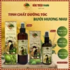 Tinh Chất Xịt Bưởi Hương Nhu Hằng Thuận Tây Nguyên